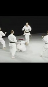 96K views · 1.8K reactions | What Is The KATA Name ⁉️ 樂 | Learning Karate | Facebook