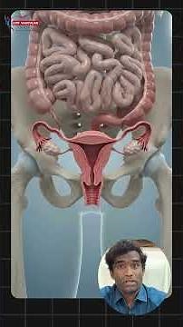 Vasectomy Explained in 60 Seconds | Safe Male Birth Control?