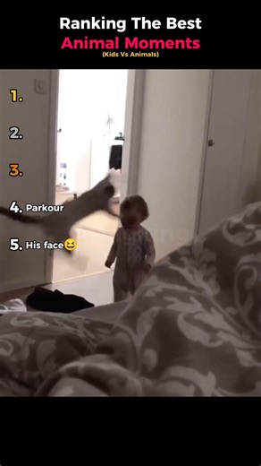 Ranking The Best Animal Moments (Kids Vs Animals)