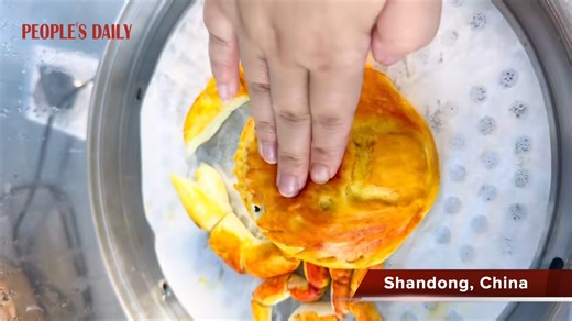 Crab season is here! Not a seafood fan? Then how about this delicious crab-shaped steamed bun, which is even filled with "roe" and "meat." | People's Daily, China