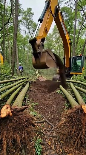 Forest Cleaning That Feels So Satisfying 🌲✨