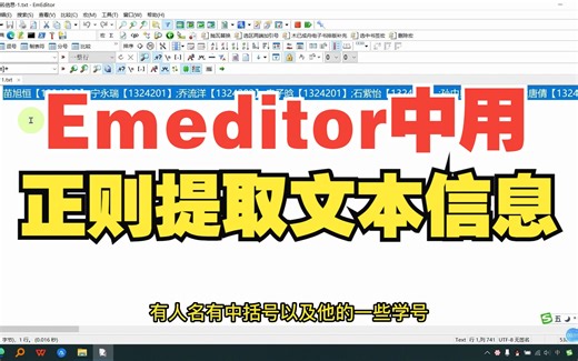 在Emeditor中用正则提取文本信息