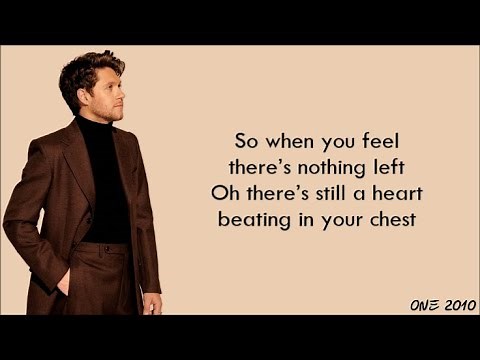 Niall Horan - Science (lyrics)