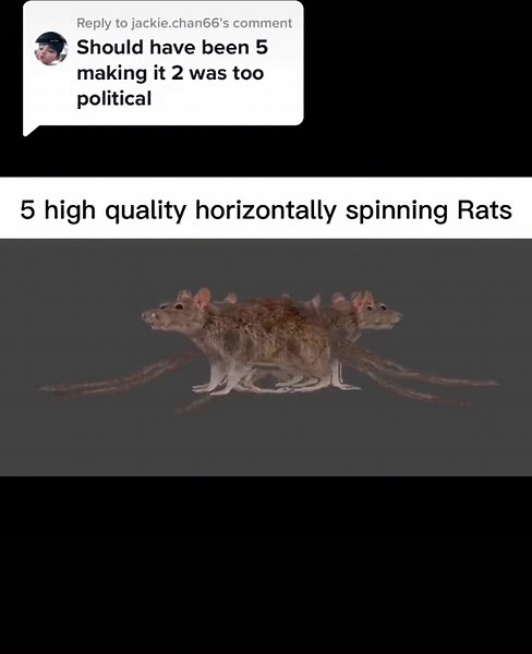 Replying to @jackie.chan66 5 High quality horizontally spinning rat #spinningrat #fyp #blowthisup #ratmeme #SplashSummerVibe #ShowUrGrillSkillz