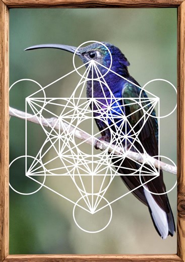 Digital Download: Metatrons Cube Bird Artwork for Resonance Activation - Etsy