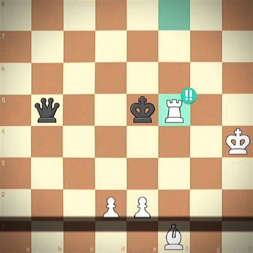 Brilliant Chess Moves by Masters