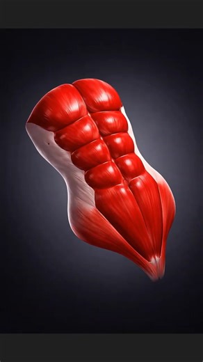 Hit your deep core with no equipment (at home)