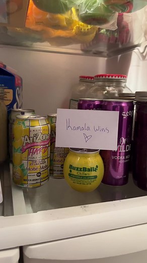 Exploring Unique Beverages in a Refrigerator