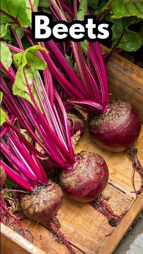 Top 10 Foods To DETOX Your LIVER