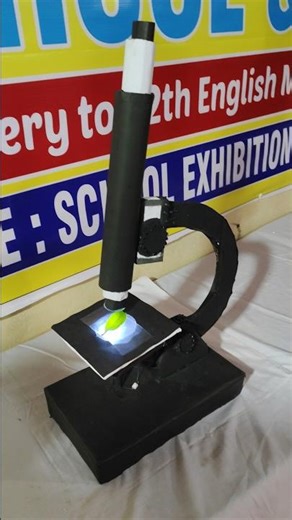 Microscope Project | #science #school #scienceexperiment