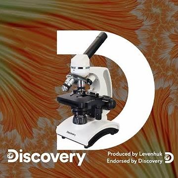 Levenhuk Discovery Atto Microscopes Review