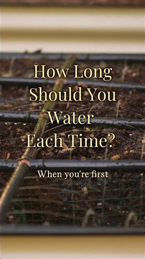 How long should you water each bed?