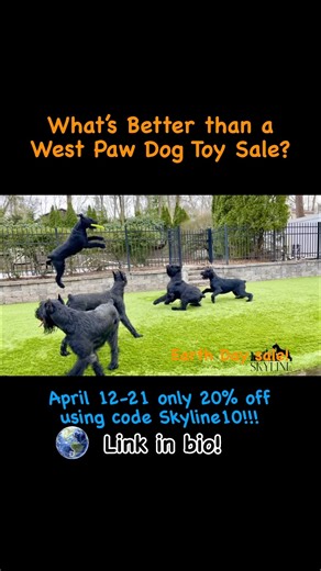 Don’t miss out! Their Flying discs are the best! @westpawus . #westpawdesign #westpawus #frisbee #flyingdisc #earthday #sale | Skyline Giant Schnauzers
