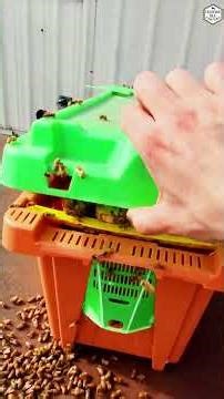 A Swarm Is Out of Reach, So We Are Drawing Them Down