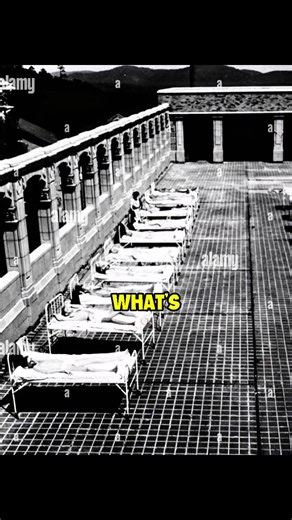 556K views · 17K reactions | Fun facts about linen #linen #linenpants #linendress #linenshirt #clothingstore #clothingbrand #clothingboutique #healthylifestyle #healthcare #healthyliving #healthtips #fypシ゚viralシfypシ゚ #reeloftheday #explorepage | Cultivate Elevate Shorts | Facebook