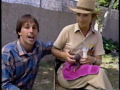 Fisher Price Teriffic Trips A Trip to the Zoo