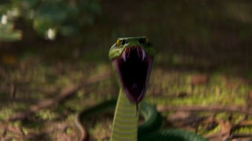 Rust丛林地形宣传片