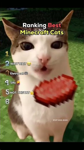 Ranking best Minecraft cats..💀🤣 #minecraft #onlyforviews #edit
