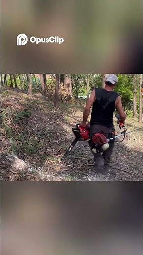 LIMPEZA DE TERRENO ABANDONADO 🌲 | ANTES E DEPOIS INCRÍVEL (PINHAL EM PORTUGAL) #antesedepois #games