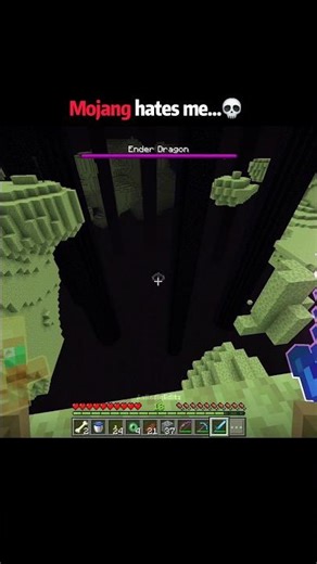 Minecraft crazy the end moments