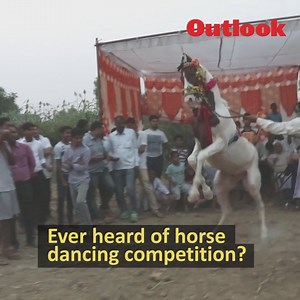 18K views · 94 reactions | In this unique dancing competition, horses wear anklets and prance to the tune of songs See more videos on www.outlookindia.com/videos | Outlookindia | Facebook