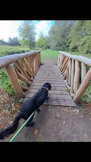 If you’re thinking about a fun outing with your dog or dogs, consider picking up a Pooch Passport on your next walk! Collect stamps from participating locations as you explore, and once your passport is full, you’ll get a special treat from our friends at Forthglade. With over 133 sites participating, it’s a wonderful way to enjoy those quieter autumn and winter weeks and create memorable moments with your furry friends.  | Morden Hall Park NT | Facebook