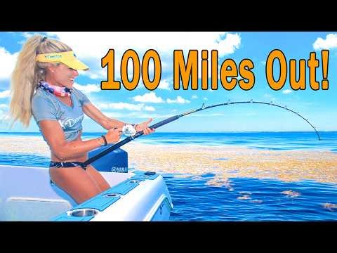 100 Miles Offshore Catching Massive Blackfin Tuna, Mahi and Snappers! (Catch & Cook)