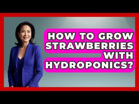 How To Grow Strawberries With Hydroponics? - The World of Agriculture