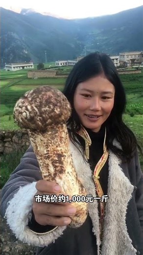 😱 Shocked! Do you dare to eat these mushrooms? You might transform after eating it! 🍄