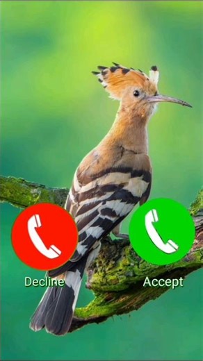 Best Call ringtone #ringtone #smartphone #music #ringtones