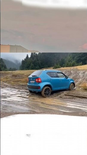 ignis all grip