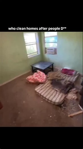 sci || tech || history on Instagram: "Homes are cleaned by professional biohazard / trauma cleanup teams after someone dies. They’re specially trained to handle situations like: Natural deaths at home Accidents or unattended deaths Crime scenes or suicides These crews don’t just “clean” — they sanitize, disinfect, and safely remove biological hazards (blood, fluids, odors) following strict health laws. Regular cleaners aren’t allowed to do this work. You’ll often hear them called: Crime scene cl