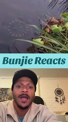 Turtle Budoo: Hilarious Reaction Video