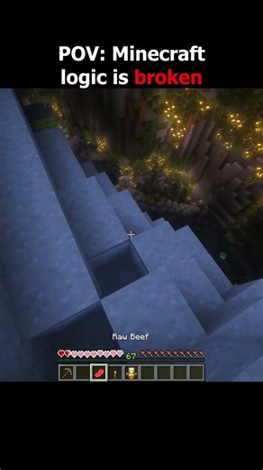 POV: Minecraft logic is broken😡