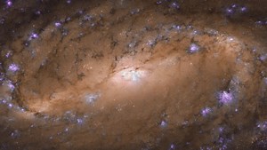 Hubble images the spectacular core of distant spiral galaxy - The Weather Network