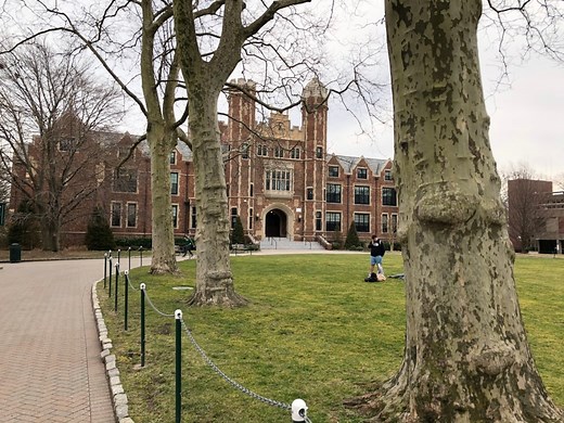 Wagner College launches new doctorate program in occupational therapy