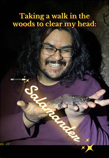 Joyful Moments with Salamanders in Nature