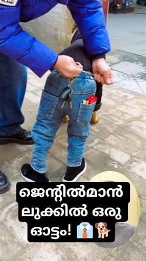 ജെന്റിൽമാൻ ലുക്കിൽ ഒരു ഓട്ടം! 👔🐕