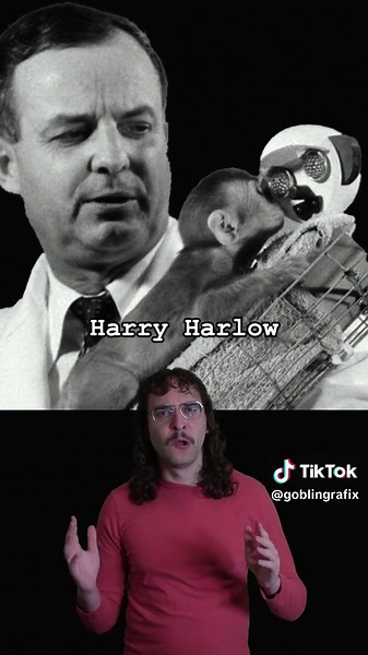 Harry Harlow's Controversial Monkey Maternal Studies