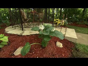 How to install Gator Dust polymeric stone dust