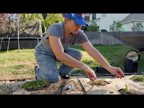 How to set up a drip system