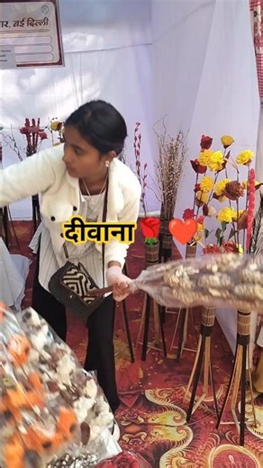 Deewana main tera deewana.🌹❤️..#shortsvideo #youtubeshorts #shorts @sonamthakur #song #sudhir 👍🙏