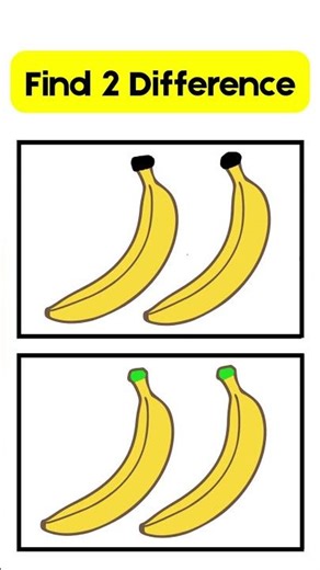 Find 2 Differences
