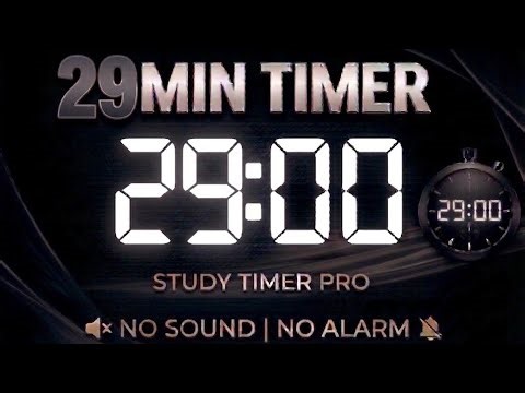 29 Minute Silent Timer | No Music, No Alarm | 29 Min Countdown for Study & Focus