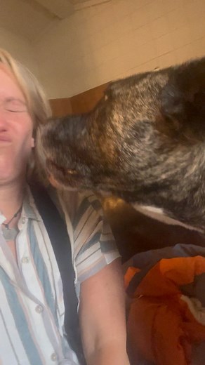 2.9K views · 36 reactions | Hit a wall. A fkn big one. Been...