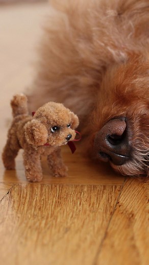 Michi Mux-Miniature animals-art toys | Can you please help me make Eris understand that sometimes I keep some miniature pipe cleaner dogs as reference? She is my only furry... | Instagram