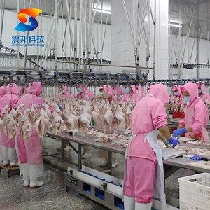 [Hot Item] Automatic Chicken Slaughterhouse Duck Slaughter Poultry Slaughterhouse