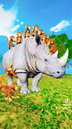 hi poopo hirano hurting mukey #2026short #animals #hunting #muky #viral #hiphop #hunters #trapping