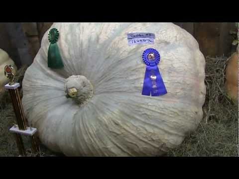 World's Largest Pumpkin - Guinness Book of World Records Broken at Deerfield Fair 2012