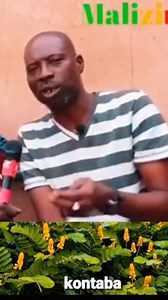 #lala ni haby den LALABY | cheick Lalaby